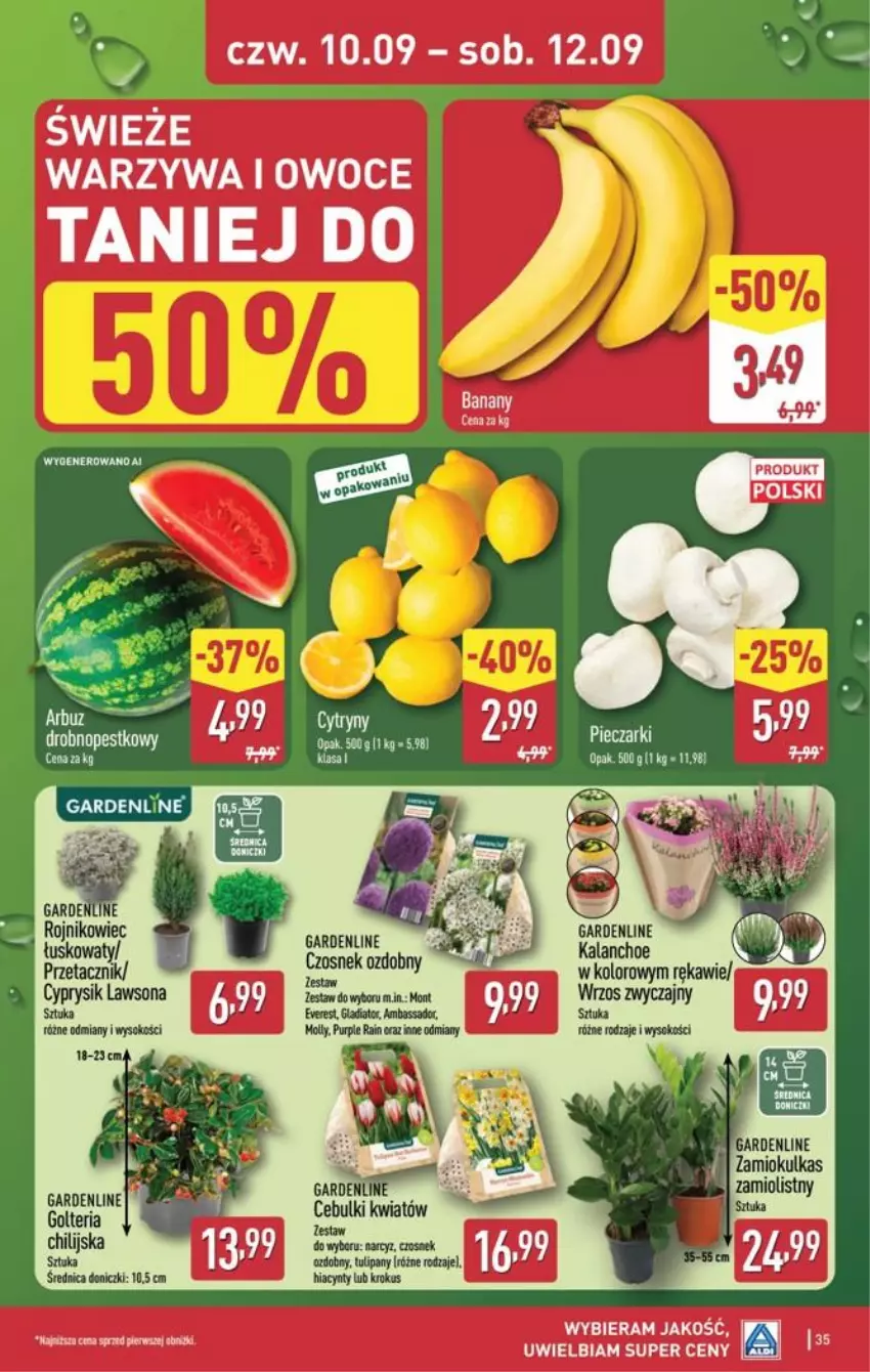 Gazetka promocyjna Aldi - Pełna oferta - ważna 07.09 do 12.09.2026 - strona 35 - produkty: Cytryny, Czosnek, Kalanchoe, Narcyz, Owoce, Piec, Pur, Sok, Warzywa, Warzywa i owoce