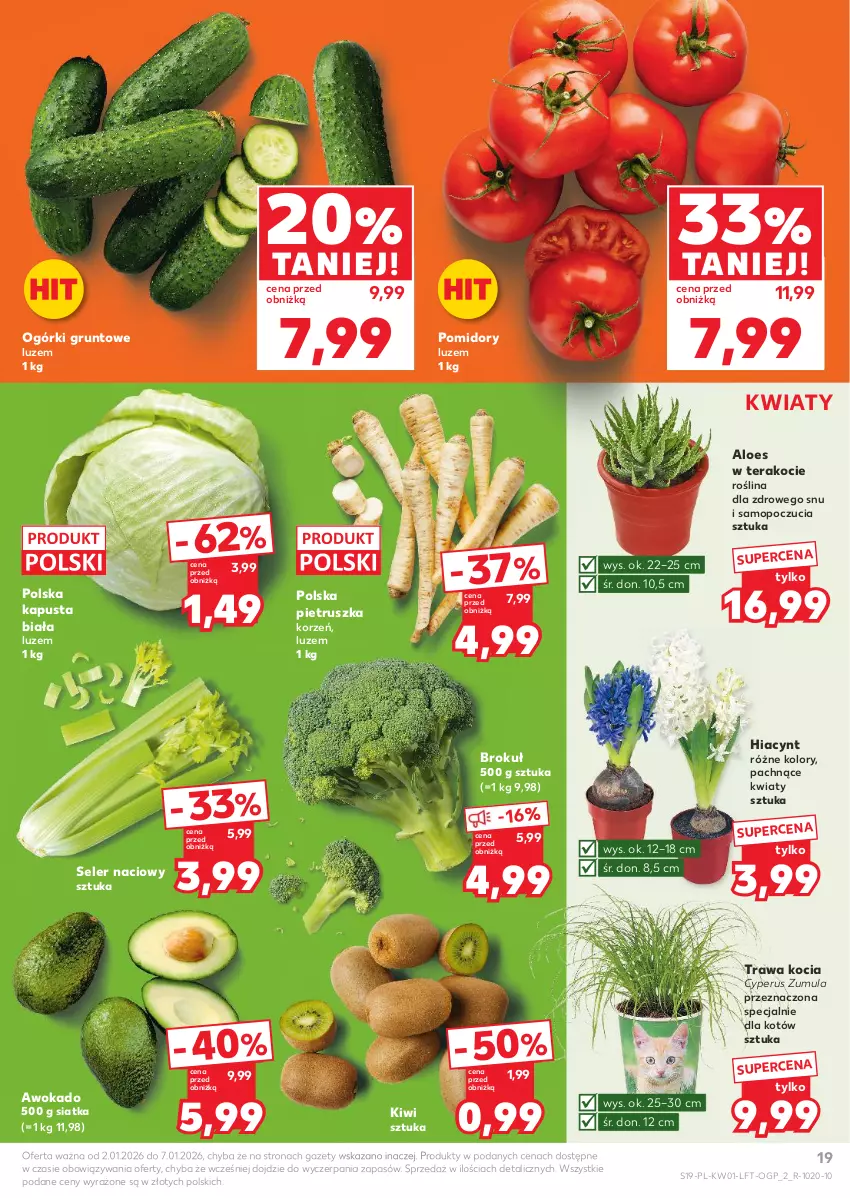 Gazetka promocyjna Kaufland - Gazetka tygodnia - ważna 02.01 do 07.01.2026 - strona 19 - produkty: Grunt, Hiacynt, Kiwi, Koc, Mop, Pietruszka, Pomidory, Seler naciowy, Siatka, Tera