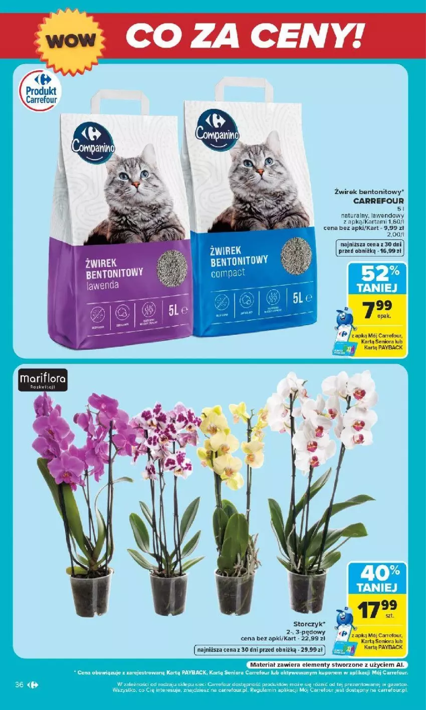 Gazetka promocyjna Carrefour - Gazetka Carrefour Białystok w SUMIE Zmieniliśmy się dla Ciebie - ważna 24.08 do 30.08.2026 - strona 36 - produkty: Flora, Koc, Storczyk