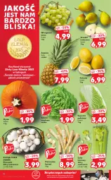 Gazetka promocyjna Kaufland - OFERTA TYGODNIA - Gazetka - ważna od 08.09 do 08.09.2021 - strona 14 - produkty: Piec, Warzywa, Sałata masłowa, Pietruszka, Cytryny, Ananas, Laur, Sałat, Gruszki, Winogrona, Owoce, Seler naciowy, Wino, Masło