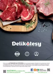 Gazetka promocyjna Delikatesy Centrum - Katalog LADA w Delikatesach Centrum od 19 sierpnia! 19.08-01.09.2024 - Gazetka - ważna od 01.09 do 01.09.2024 - strona 40 - produkty: Rum, Mobil, Fa