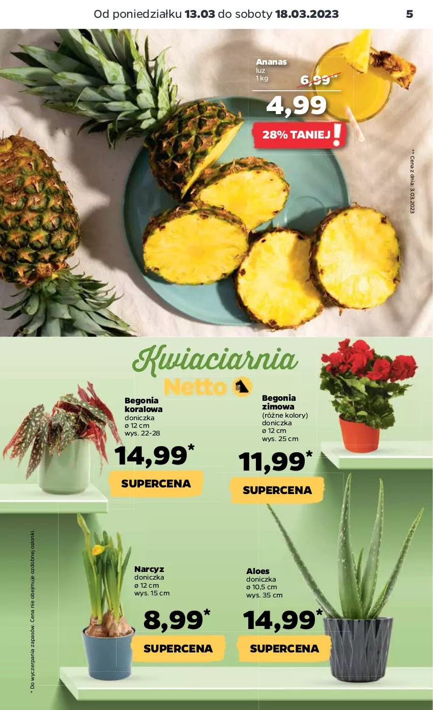 Gazetka promocyjna Netto - Artykuły spożywcze - ważna 13.03 do 18.03.2023 - strona 5 - produkty: Ananas, Narcyz