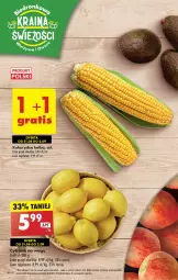 Gazetka promocyjna Biedronka - Od czwartku - Gazetka - ważna od 06.09 do 06.09.2023 - strona 18 - produkty: Por, Rama, Tran, Kukurydza