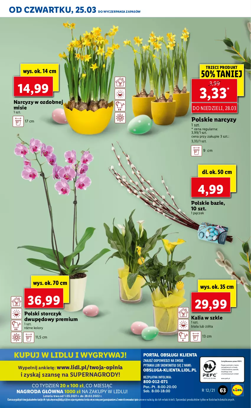 Gazetka promocyjna Lidl - GAZETKA - ważna 25.03 do 28.03.2021 - strona 63 - produkty: Gry, Mola, Narcyz, Storczyk