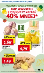Gazetka promocyjna Lidl - GAZETKA - Gazetka - ważna od 28.03 do 28.03.2021 - strona 9 - produkty: Por, Czosnek, Cytryny, Imbir