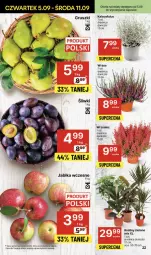 Gazetka promocyjna Delikatesy Centrum - NOWA GAZETKA Delikatesy Centrum od 5 września! 5-11.09.2024 - Gazetka - ważna od 11.09 do 11.09.2024 - strona 22 - produkty: Gruszki, Jabłka, Fa