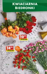 Gazetka promocyjna Biedronka - Gazetka - Biedronka.pl - Gazetka - ważna od 04.01 do 04.01.2023 - strona 15 - produkty: Sok, SEKO, 