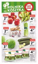 Gazetka promocyjna Intermarche - Gazetka - ważna od 15.11 do 15.11.2023 - strona 6 - produkty: Ogórek, Czosnek, Sałat, Seler naciowy, Szpinak, Imbir