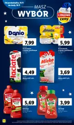 Gazetka promocyjna Lidl - GAZETKA - Gazetka - ważna od 16.11 do 16.11.2022 - strona 10 - produkty: Ketchup, Ser, Danone, Serek, Pilos, Danio, Pudliszki, Mleko
