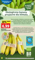 Gazetka promocyjna Lidl - GAZETKA - Gazetka - ważna od 16.11 do 16.11.2022 - strona 22 - produkty: Banany