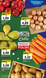 Gazetka promocyjna Lidl - GAZETKA - Gazetka - ważna od 16.11 do 16.11.2022 - strona 9 - produkty: Cebula, Ziemniaki, Gruszki, Jabłka