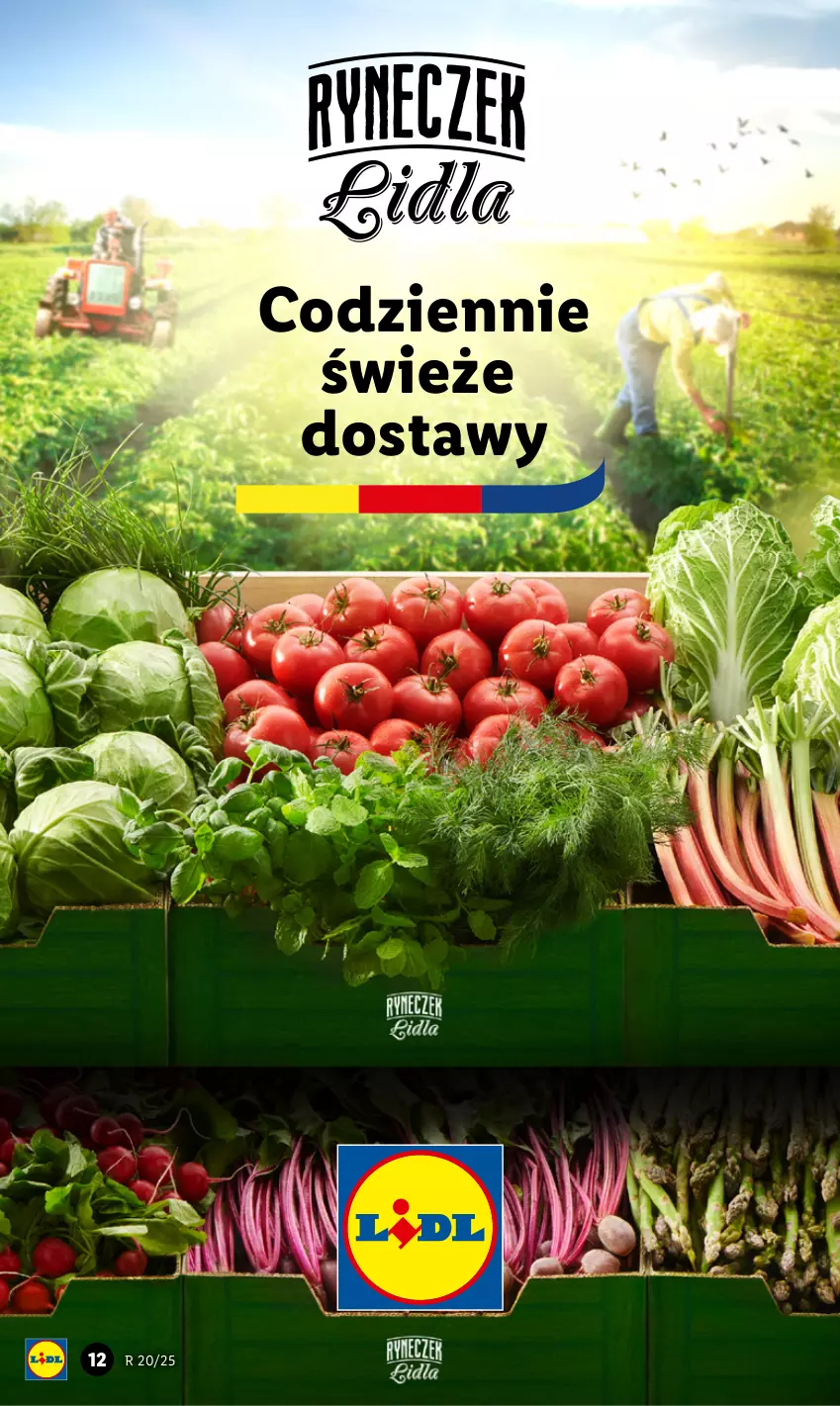 Gazetka promocyjna Lidl - GAZETKA - ważna 12.05 do 14.05.2025 - strona 15