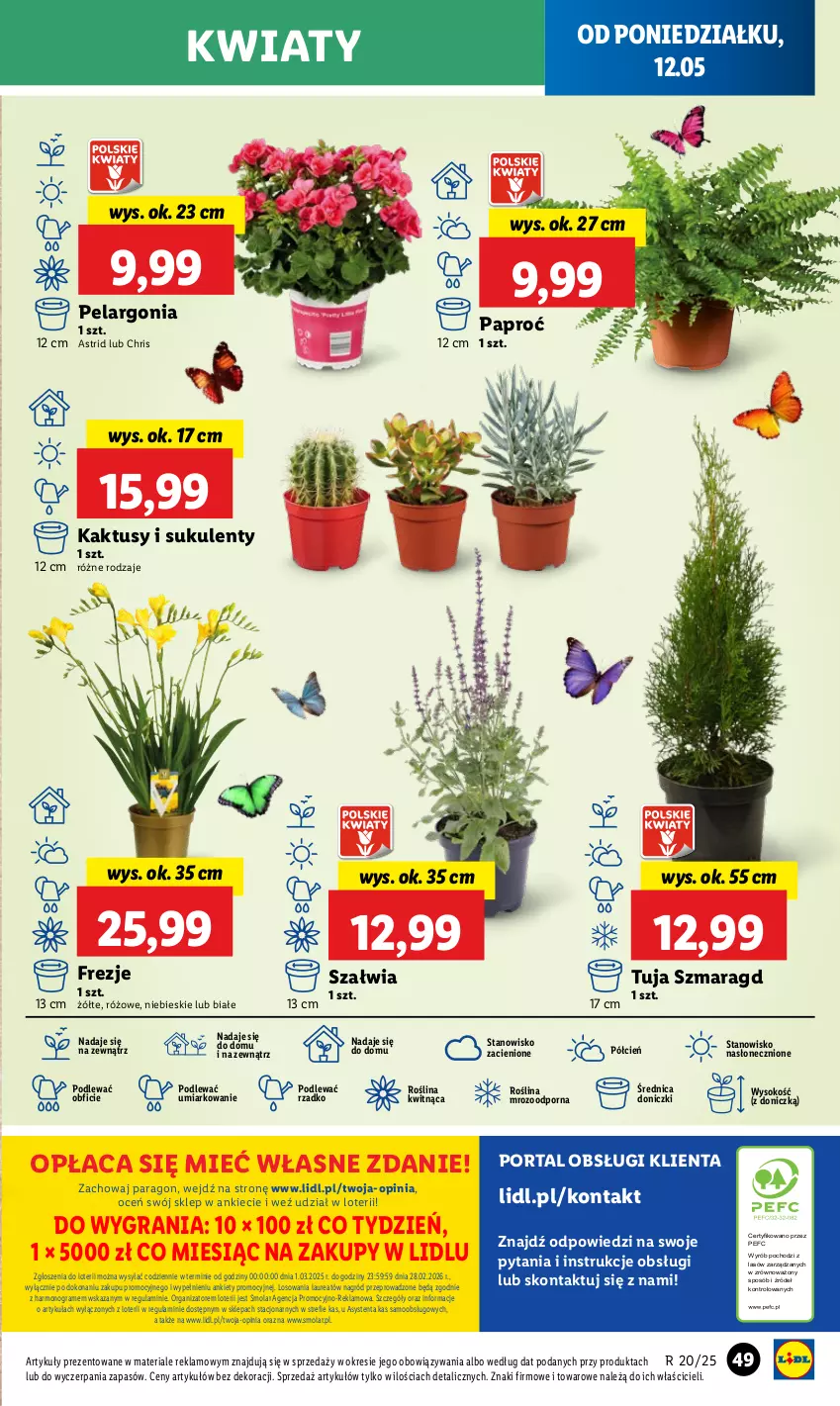 Gazetka promocyjna Lidl - GAZETKA - ważna 12.05 do 14.05.2025 - strona 59 - produkty: Astrid, Cień, Gra, Kaktus, Laur, Mola, O nas, Por, Portal, Sok, Sukulent