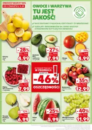 Gazetka promocyjna Kaufland - Kaufland - Gazetka - ważna od 10.04 do 10.04.2024 - strona 10 - produkty: Warzywa, Cytryny, Maliny, Winogrona, Owoce, Wino, Mango, Nektar