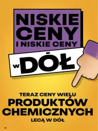 Gazetka promocyjna Delikatesy Centrum - Franczyza DC25 Czwartek - Gazetka - ważna od 25.06 do 25.06.2025 - strona 41 - produkty: Tera