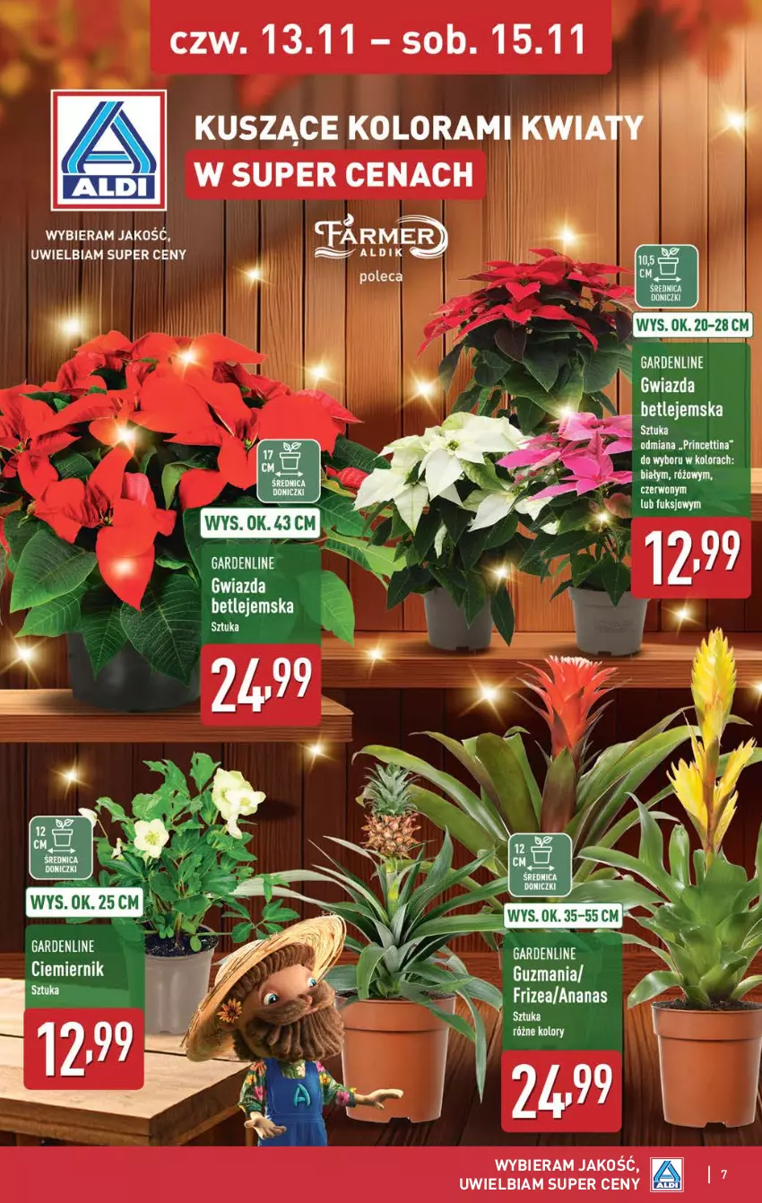 Gazetka promocyjna Aldi - Oferta weekendowa - ważna 13.11 do 15.11.2025 - strona 7