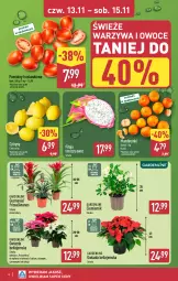 Gazetka promocyjna Aldi - Oferta weekendowa - Gazetka - ważna od 15.11 do 15.11.2025 - strona 4 - produkty: Mandarynki, Warzywa, Warzywa i owoce, Cytryny, Ananas, Gwiazda, Siatka, Owoce, Pomidory
