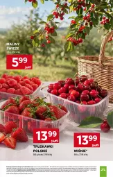 Gazetka promocyjna Stokrotka - Supermarket - Gazetka - ważna od 29.07 do 29.07.2026 - strona 17 - produkty: Warzywa, Truskawki, Maliny, Owoce, Mięso