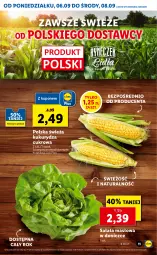 Gazetka promocyjna Lidl - GAZETKA - Gazetka - ważna od 08.09 do 08.09.2021 - strona 11 - produkty: Sałata masłowa, Sałat, Masło, Kukurydza