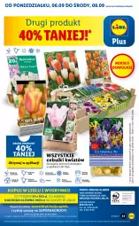 Gazetka promocyjna Lidl - GAZETKA - Gazetka - ważna od 08.09 do 08.09.2021 - strona 57 - produkty: Sok, Por, Gry, Cień, O nas, Mola