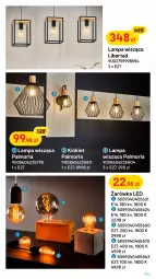 Gazetka promocyjna Castorama - Gazetka - ważna od 20.11 do 20.11.2022 - strona 3 - produkty: Philips, Rama, Astor, Lampa, Lampa stołowa, Lampa wisząca