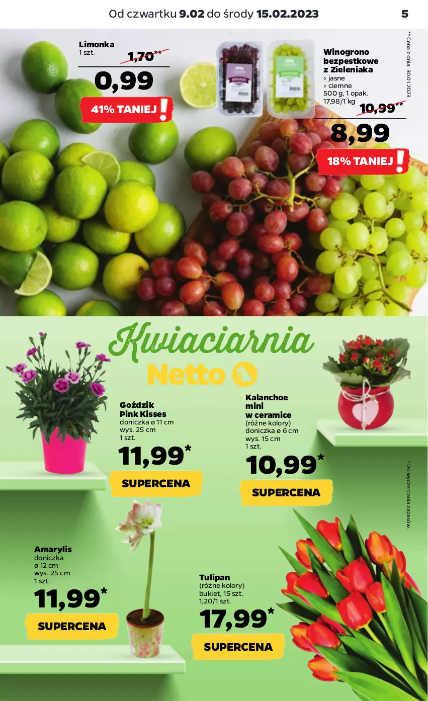 Gazetka promocyjna Netto - Artykuły spożywcze - ważna 09.02 do 15.02.2023 - strona 5 - produkty: Amarylis, Bukiet, Kalanchoe, Limonka, Tulipan, Wino