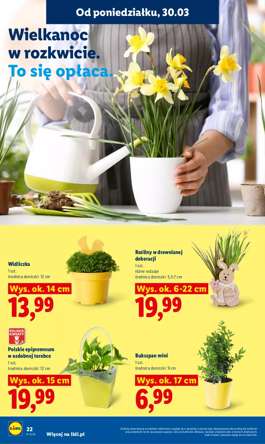 Gazetka promocyjna Lidl - Gazetka ważna od 30.03 do 1.04 - ważna 30.03 do 01.04.2026 - strona 22