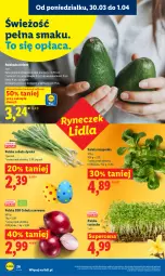 Gazetka promocyjna Lidl - Gazetka ważna od 30.03 do 1.04 - Gazetka - ważna od 01.04 do 01.04.2026 - strona 26 - produkty: Cebula czerwona, Cebula, Roszponka, Rzeżucha, Sałat