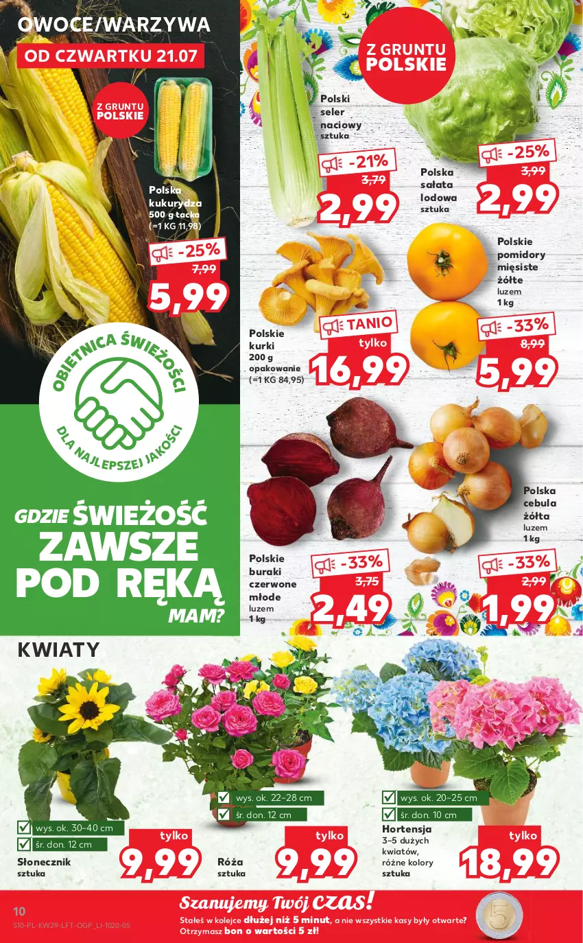 Gazetka promocyjna Kaufland - OFERTA TYGODNIA - ważna 21.07 do 27.07.2022 - strona 10 - produkty: Buraki, Cebula, Grunt, Kukurydza, Olej, Owoce, Pomidory, Róża, Sałat, Sałata lodowa, Seler naciowy, Warzywa