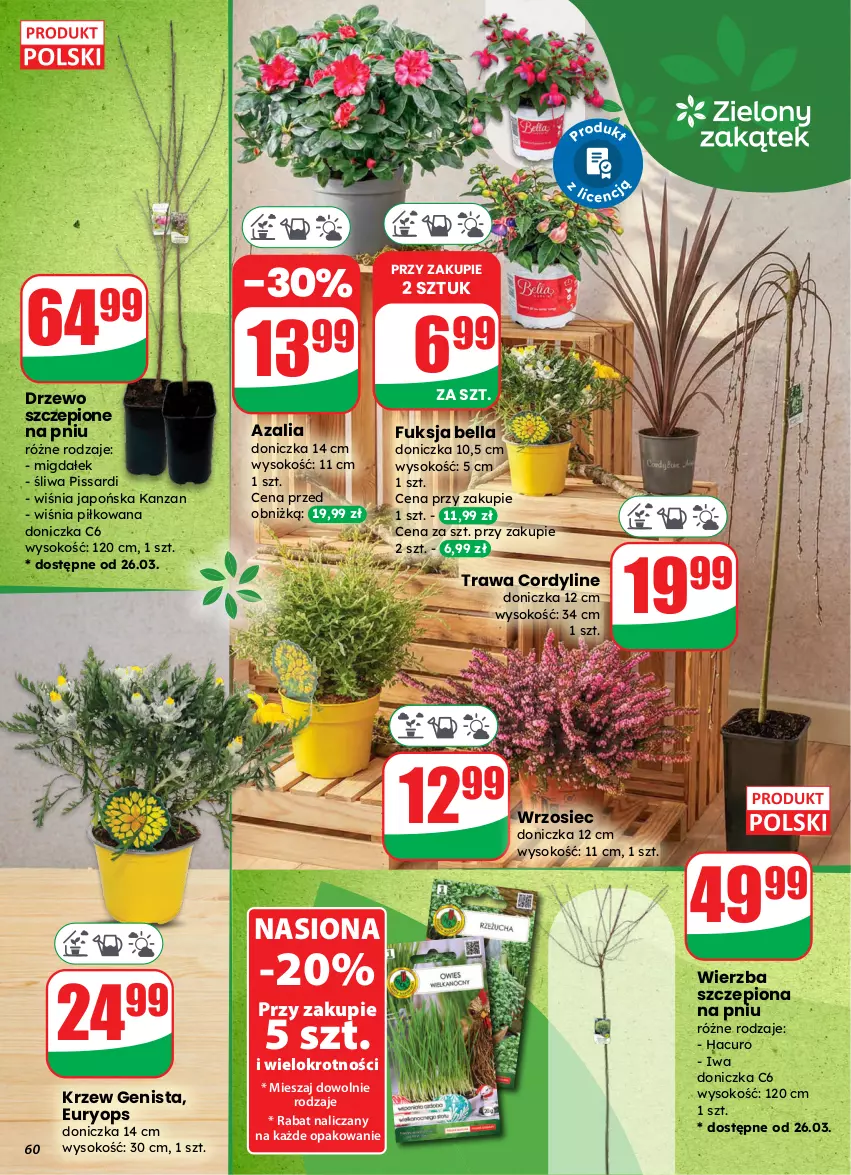 Gazetka promocyjna Dino - Gazetka 13 / 2026 - ważna 25.03 do 31.03.2026 - strona 60 - produkty: Bell, Bella, Sok