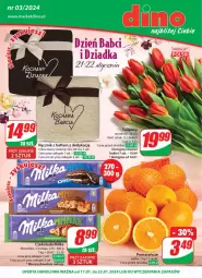 Gazetka promocyjna Dino - Gazetka 3 - Gazetka - ważna od 23.01 do 23.01.2024 - strona 1 - produkty: Sok, JBL, Tulipan, Ręcznik, Czekolada, Bukiet, Milka