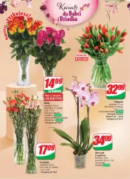 Gazetka promocyjna Dino - Gazetka 3 - Gazetka - ważna od 23.01 do 23.01.2024 - strona 48 - produkty: Sok, Storczyk, Bukiet, Orka, Fa