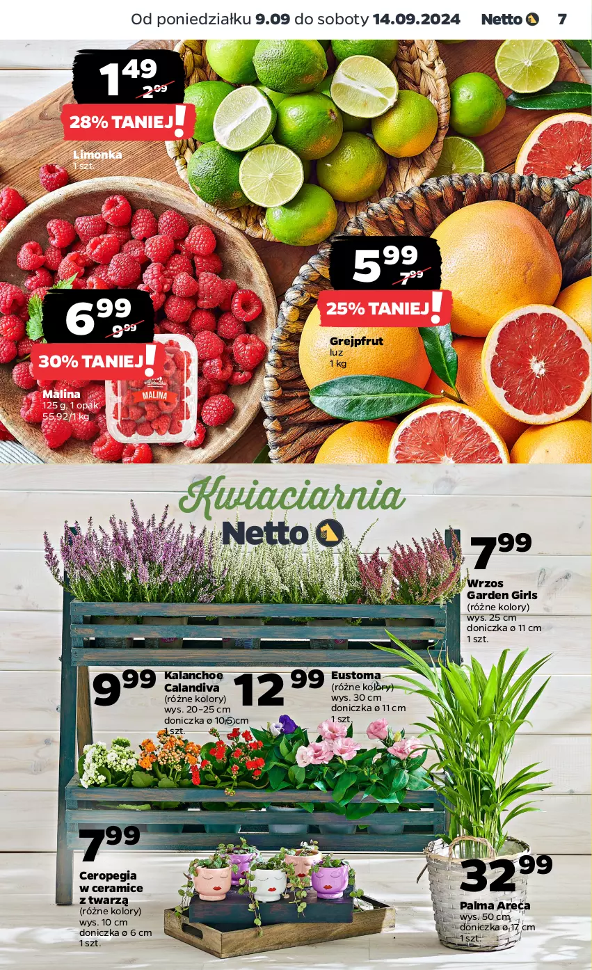 Gazetka promocyjna Netto - Netto Gazetka Food 37/24A - ważna 09.09 do 14.09.2024 - strona 7 - produkty: Grejpfrut, Kalanchoe, Limonka, Palma