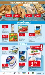 Gazetka promocyjna E Leclerc - Gazetka - ważna od 25.05 do 25.05.2024 - strona 19 - produkty: Ser, Mus, Piątnica, Nesquik, Zott, Kaktus, Lody, Sałat, Serek, Hochland, Owoce, Twój Smak, Frytki, Piekarnik, Ogród, Monte, Hortex, Fa