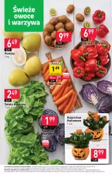 Gazetka promocyjna Stokrotka - Supermarket - Gazetka - ważna od 02.11 do 02.11.2023 - strona 7 - produkty: Warzywa, Sałata masłowa, Papryka czerwona, Papryka, Kiwi, Kalanchoe, Sałat, Pomelo, Owoce, Masło, Mięso