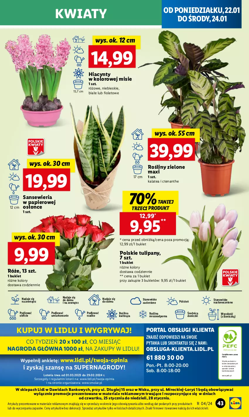 Gazetka promocyjna Lidl - GAZETKA - ważna 22.01 do 24.01.2024 - strona 45 - produkty: Bukiet, Cień, Gry, Hiacynt, Mola, O nas, Papier, Por, Sok, Tulipan