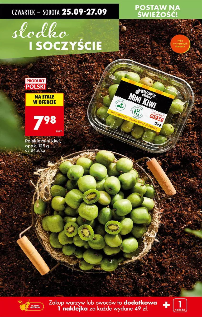 Gazetka promocyjna Biedronka - Od Czwartku - ważna 25.09 do 01.10.2025 - strona 21 - produkty: Klej