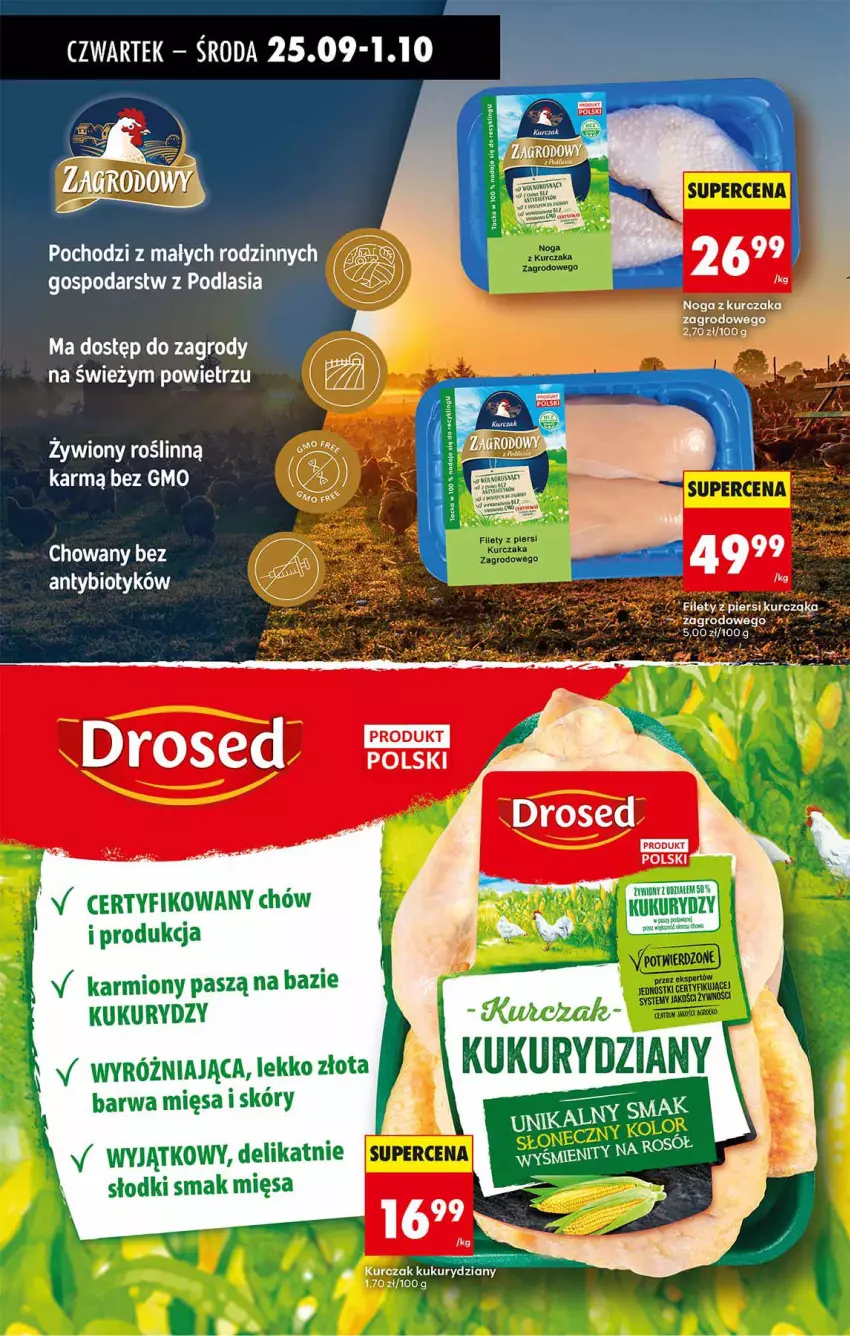 Gazetka promocyjna Biedronka - Od Czwartku - ważna 25.09 do 01.10.2025 - strona 33 - produkty: Karmi, Kurczak
