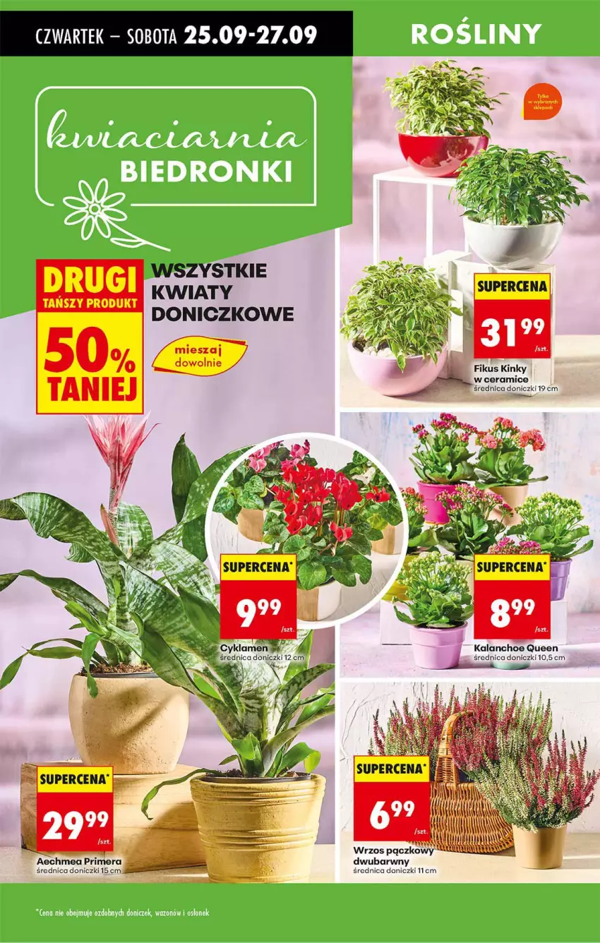 Gazetka promocyjna Biedronka - Od Czwartku - ważna 25.09 do 01.10.2025 - strona 76 - produkty: Cyklamen, Fa, Kalanchoe
