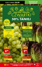 Gazetka promocyjna Biedronka - Od Czwartku - Gazetka - ważna od 01.10 do 01.10.2025 - strona 20 - produkty: Klej, Sałat, Candy, Owoce, LG, Fa