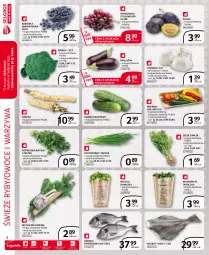 Gazetka promocyjna Selgros - Extra Oferta - Gazetka - ważna od 31.08 do 31.08.2021 - strona 2 - produkty: Chrzan, Halibut, Warzywa, Sok, Pietruszka, Borówka, Borówka amerykańska, Kolendra, Czosnek, Tusz, Bazyl, Owoce, Bazylia, Wino, Grunt, LG