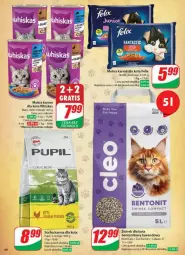 Gazetka promocyjna Dino - Gazetka - ważna od 26.11 do 26.11.2024 - strona 65 - produkty: Mokra karma, Rum, Whiskas, Mars, Fanta, Felix, Sucha karma, Fa