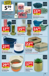 Gazetka promocyjna Auchan - 30 Lat Hipermarket - Gazetka - ważna od 14.01 do 14.01.2026 - strona 11 - produkty: Kosz, Wazon, Sukulent