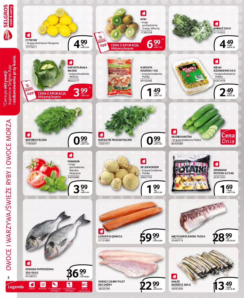 Gazetka promocyjna Selgros - Extra Oferta - ważna 01.03 do 31.03.2021 - strona 2 - produkty: Cytryny, Dorsz, Jarmuż, Kiełki, Kiwi, Koperek pęczek, Królewski, LG, Małże, Miętus, Natka pietruszki, Noż, Ogórek, Owoce, Owoce morza, Polędwica, Ryby i owoce morza, Seler korzeń, Sok, Tusz, Warzywa, Ziemniaki