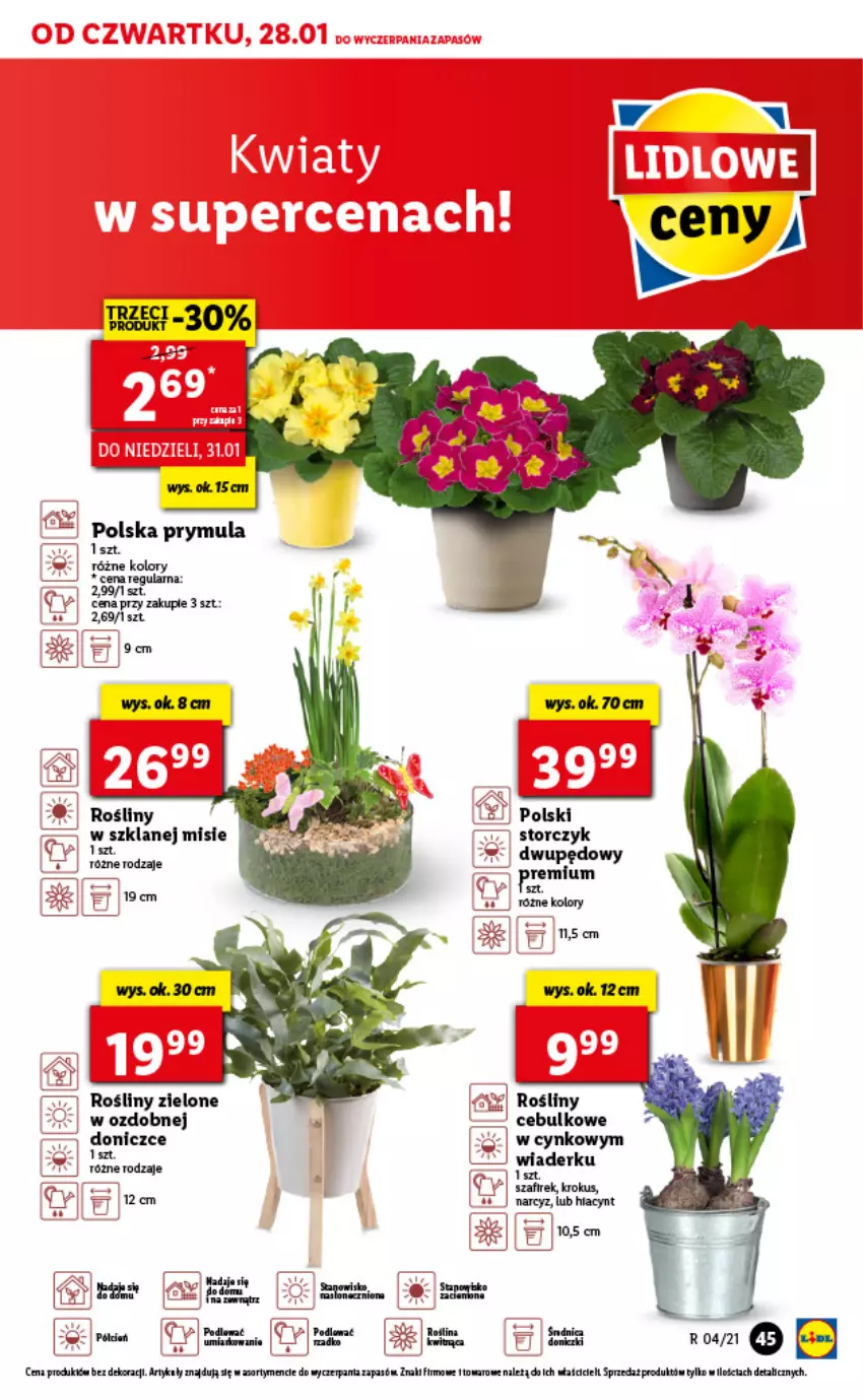 Gazetka promocyjna Lidl - GAZETKA - ważna 28.01 do 31.01.2021 - strona 45