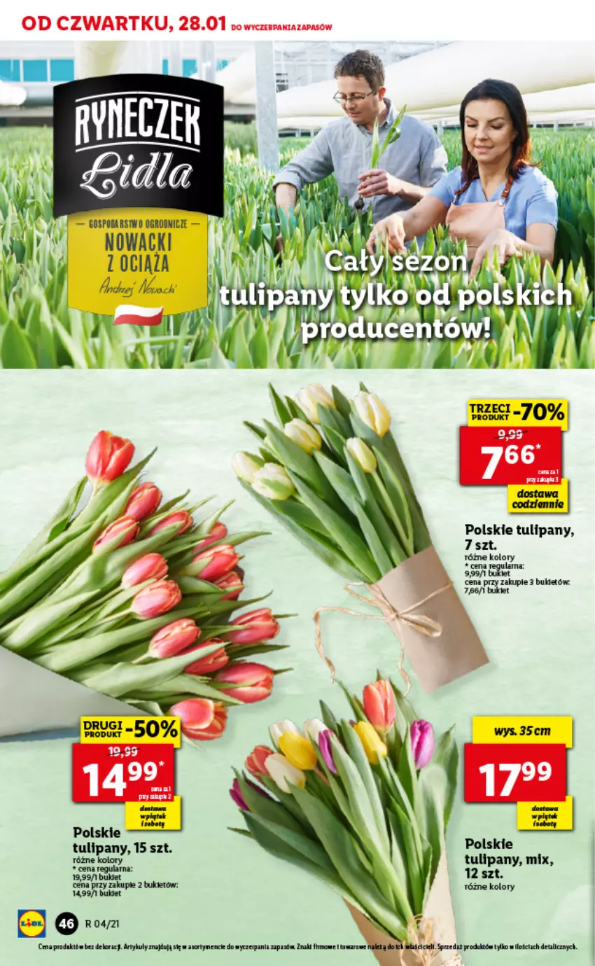 Gazetka promocyjna Lidl - GAZETKA - ważna 28.01 do 31.01.2021 - strona 46