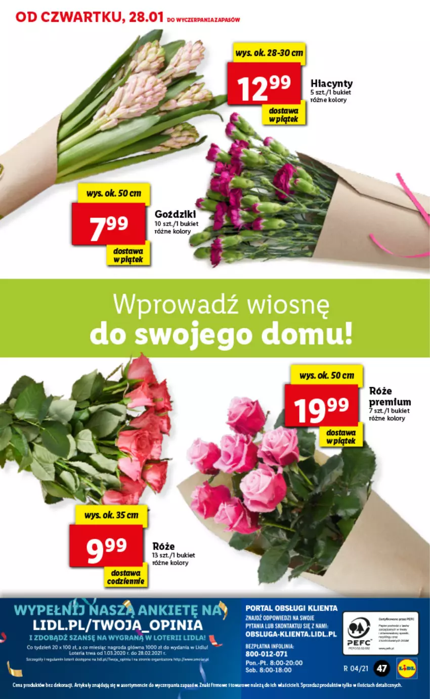 Gazetka promocyjna Lidl - GAZETKA - ważna 28.01 do 31.01.2021 - strona 47