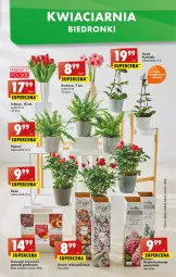 Gazetka promocyjna Biedronka - W tym tygodniu - Gazetka - ważna od 16.03 do 16.03.2022 - strona 9 - produkty: Ser, Tulipan, Róża, Wazon