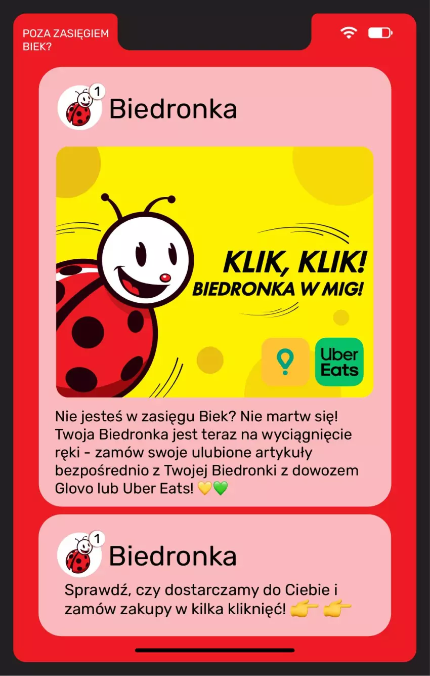 Gazetka promocyjna Biedronka - BIEK - ważna 13.08 do 20.08.2026 - strona 24 - produkty: Tera