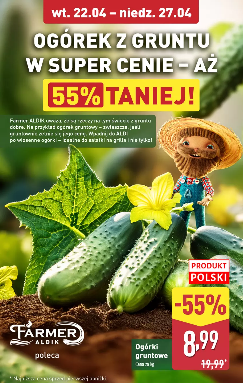 Gazetka promocyjna Aldi - Pełna oferta - ważna 22.04 do 27.04.2025 - strona 4 - produkty: Fa, Grill, Grunt, Ogórek, Sałat, Z gruntu dobre